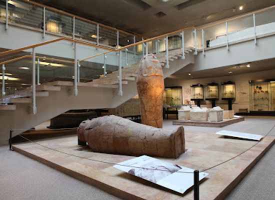 israel/haifa-district/attraction/hecht-museum