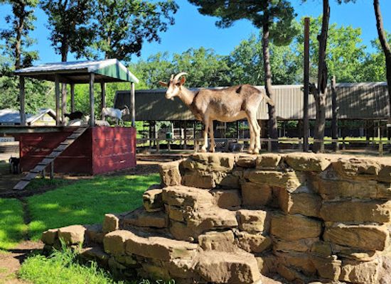 wisconsin/wisconsin-dells/attraction/wisconsin-deer-park