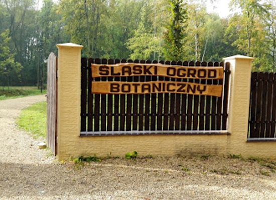 poland/silesia/attraction/slaski-ogrod-botaniczny-w-radzionkowie
