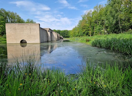 netherlands/noordoostpolder/attraction/waterloopbos