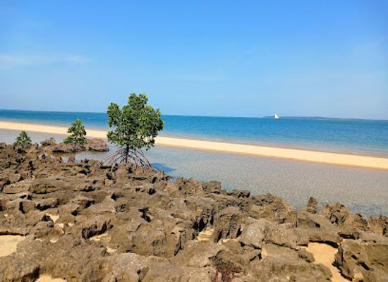 mozambique/inhaca-island/attraction/recife-de-corais-de-santa-maria