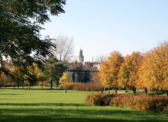 poland/poznan/wilda/attraction/john-paul-ii-park