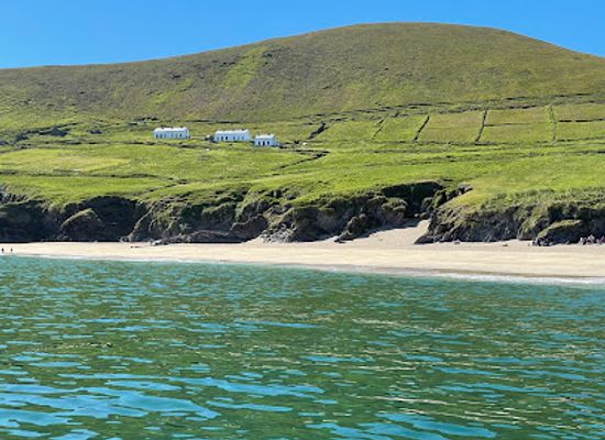 ireland/slea-head-drive/attraction/fungie-the-dingle-dolphin