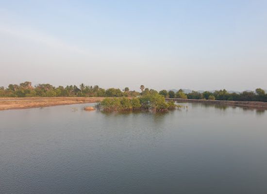 cambodia/kep-province/attraction/mangrove-forest-beautiful-sunset