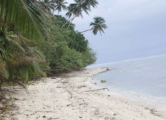 solomon-islands/new-georgia-islands/attraction/vella-lavella-island