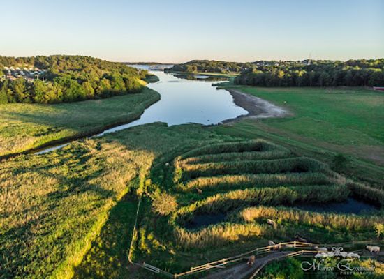 sweden/gothenburg-archipelago/attraction/valens-naturreservat