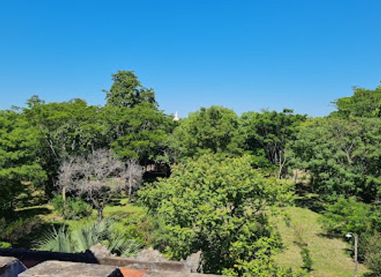 paraguay/upper-chaco/attraction/castillo-carlota-palmerola