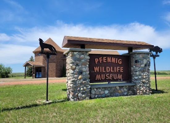 north-dakota/lake-sakakawea/attraction/pfennig-wildlife-museum
