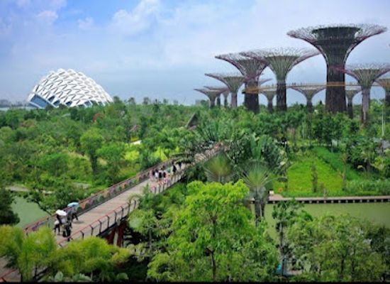 singapore/marina-bay/marina-south/attraction/supertree-grove