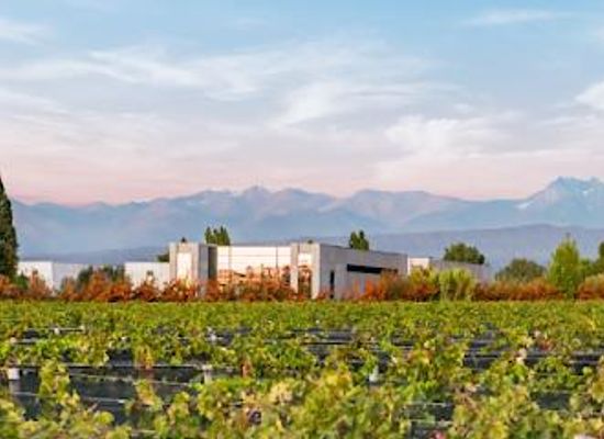 argentina/cuyo/attraction/vina-cobos