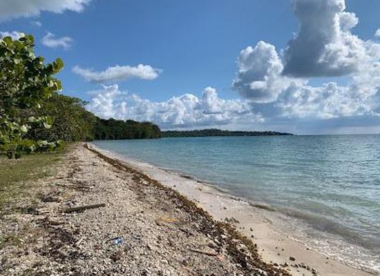 jamaica/treasure-beach/attraction/bluefields-beach