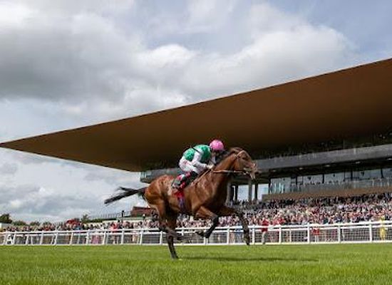 ireland/county-kildare/attraction/the-curragh-racecourse