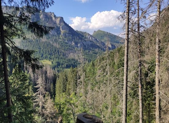 poland/tatra-mountains/attraction/smocza-jama-cave
