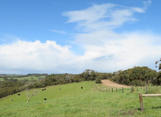 australia/fleurieu-peninsula/attraction/myponga-conservation-park