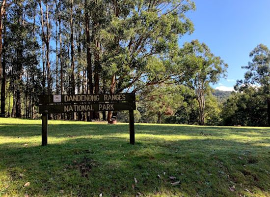 australia/yarra-valley/attraction/r-j-hamer-arboretum