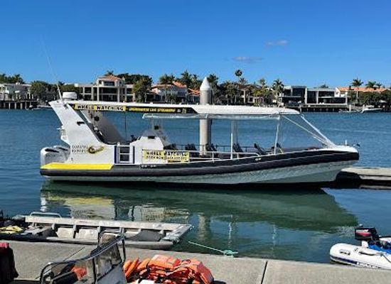 australia/noosa/attraction/adventure-rafting
