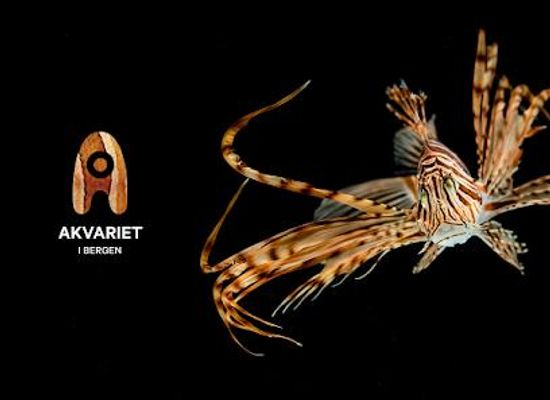 norway/bergen/attraction/akvariet-i-bergen-the-national-aquarium