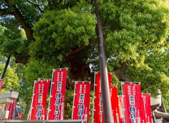 japan/kinki-kansai/attraction/sumiyoshi-taisha