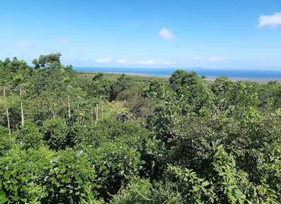 ecuador/galapagos-islands/attraction/highland-view-galapagos