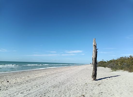 florida/southwest-florida/attraction/stump-pass-beach-state-park