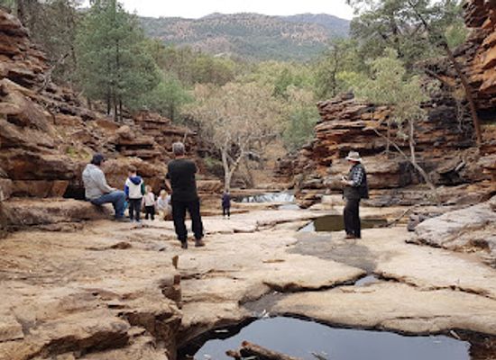 australia/flinders-ranges/attraction/ferguson-gorge