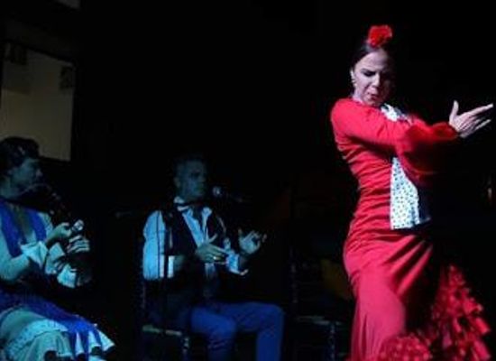 spain/seville/attraction/tablao-flamenco-pura-esencia