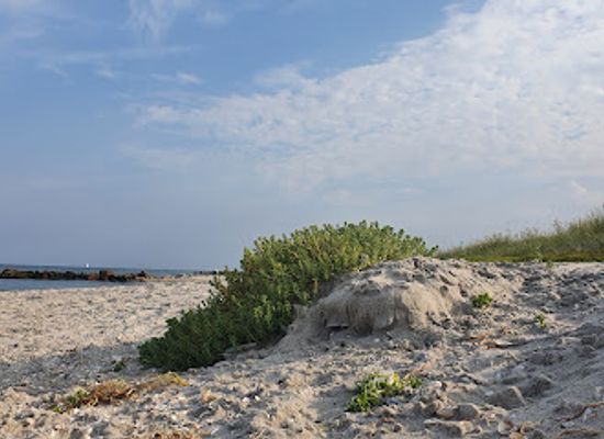denmark/north-jutland/attraction/strand-saby