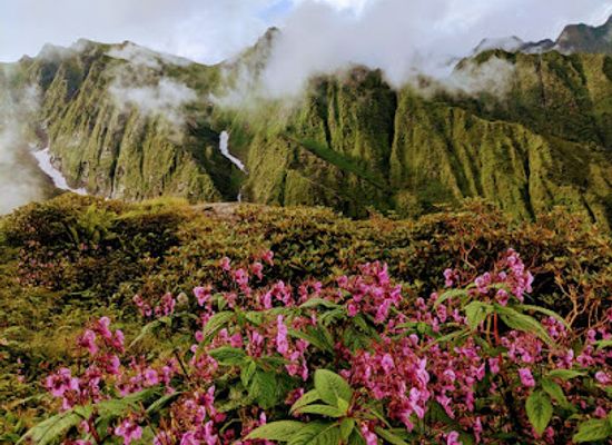 india/uttarakhand/attraction/chanap-valley-trek