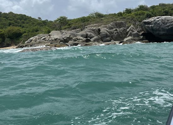 puerto-rico/vieques-island/attraction/wai-vie-adventure-tours