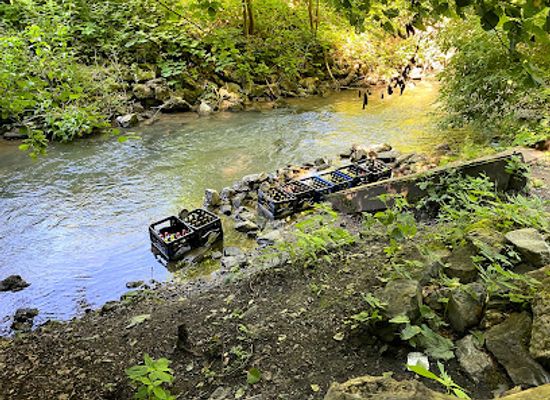 czechia/moravian-karst/attraction/lesni-bar-adamov