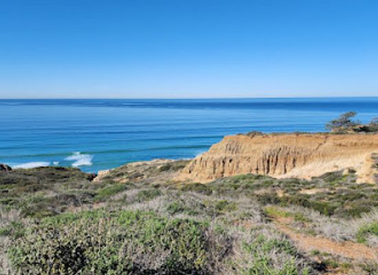 california/la-jolla/attraction/torrey-pines-state-natural-reserve