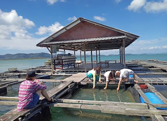 thailand/koh-yao-noi/attraction/bang-fik-ch-kra-chang-mangkon-farm-ko-yao-phang-nga