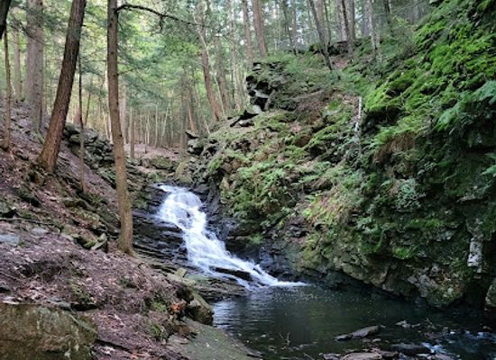 new-hampshire/monadnock-region/attraction/chesterfield-gorge-natural-area