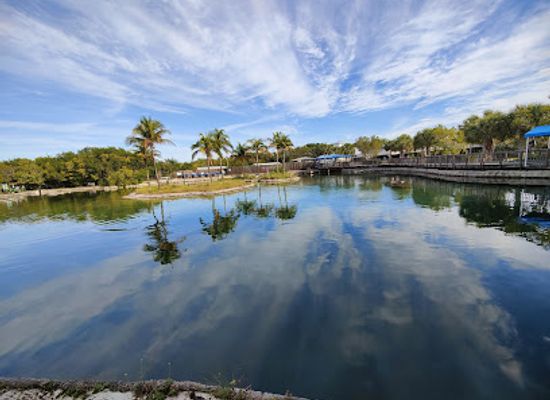 florida/nature-coast/attraction/florida-oceanographic-coastal-center