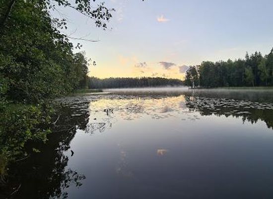 finland/helsinki-archipelago/attraction/sipoonkorpi-national-park