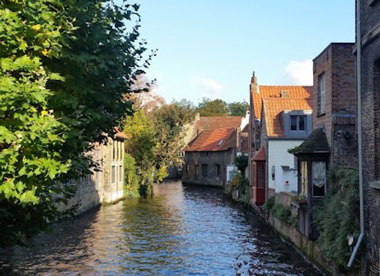 belgium/bruges/sint-anna/attraction/groeninge-museum