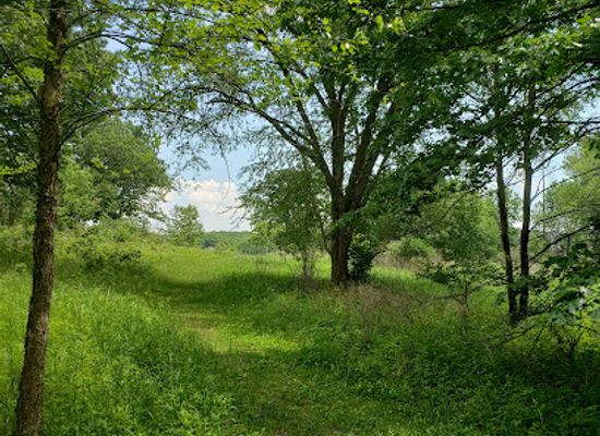iowa/cedar-rapids/attraction/rock-island-botanical-state-preserve