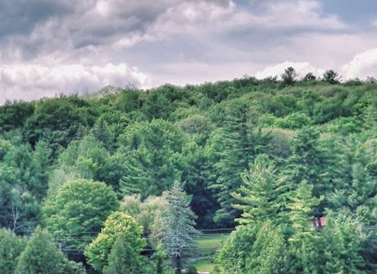 canada/ottawa-valley/attraction/mackenzie-king-estate