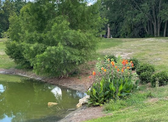 florida/ocala-national-forest/attraction/florida-museum-of-natural-history-exhibits