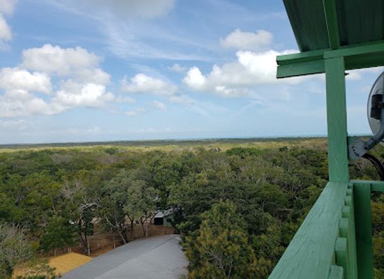 belize/sarteneja/attraction/shipstern-conservation-management-area
