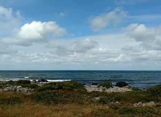 sweden/halland/attraction/enets-naturreservat