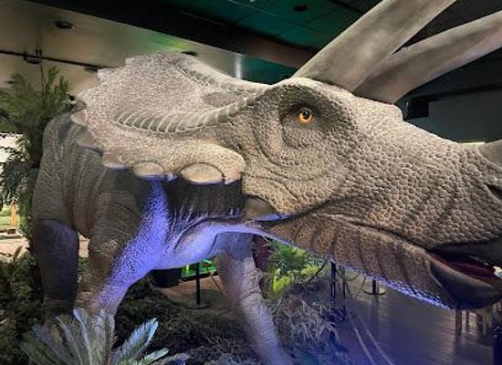 nevada/clark-county/attraction/dino-safari-las-vegas-a-walk-thru-adventure