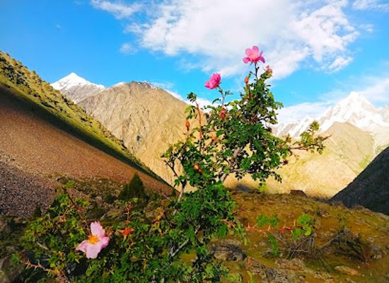 pakistan/northern-areas/attraction/independence-hero-s-memorial-chinarbag-gilgit-pakistan