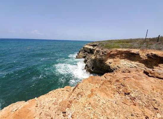 puerto-rico/fajardo/attraction/vieques-national-wildlife-refuge