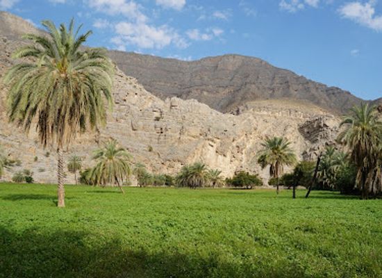 united-arab-emirates/jebel-jais/attraction/sal-shehah-hidden-oasis