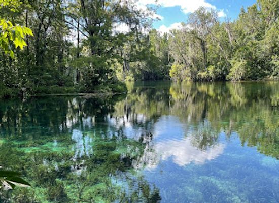 florida/ocala/attraction/silver-springs-state-park