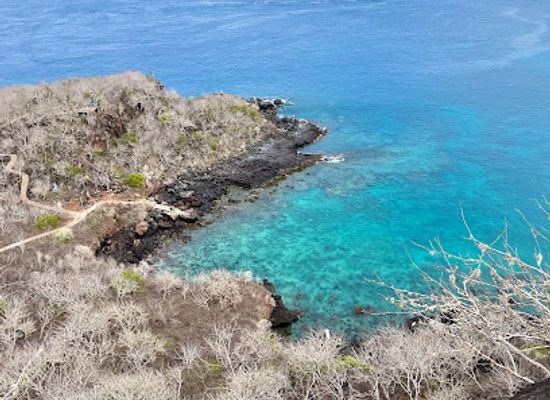 ecuador/galapagos-islands/attraction/playa-tijeretas