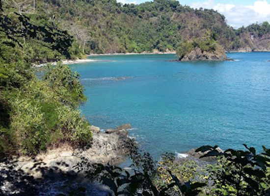 costa-rica/manuel-antonio/attraction/zip-coaster
