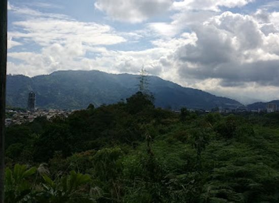 colombia/tolima-department/attraction/san-jorge-botanical-garden