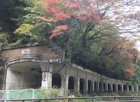 japan/hakone/attraction/kanrei-tunnel